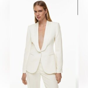 Aritzia Ten Intrigue Blazer